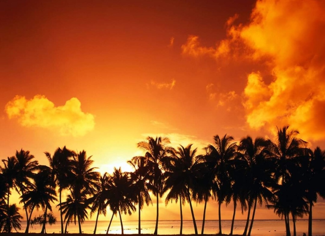 Land shadowing with wings beyond the rivers of Ethiope ( Isaiah 18:1)